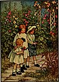 Wayside Weeds and Garden Flowers by C M Burd