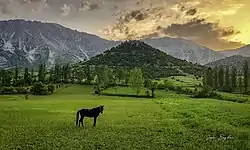 Yeşilgöz, Kahramanmaraş.