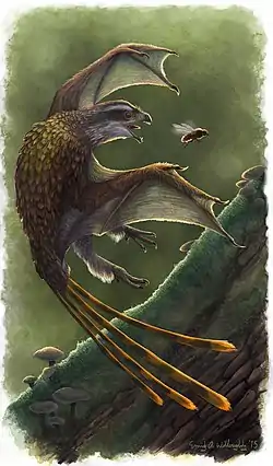 Restoration of Yi qi, a scansoriopterygid from the Middle to Late Jurassic of China