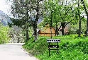 Zakojca