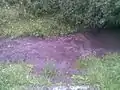 And after strongest storm in summer 2010
