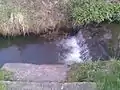 Deepest part of Zbečník stream