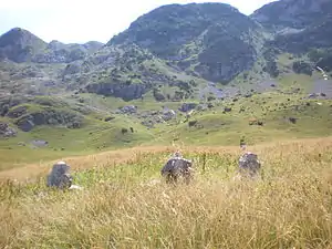 the Zelengora mountains