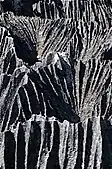 Soil, Mongolia