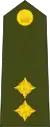 Lieutenant(Zimbabwe National Army)