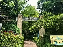 Amazon and Beyond
