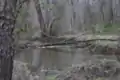 Manalapan Brook in Helmetta