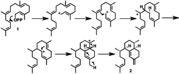 Formation of a cyclohexane from a non-cyclic compound via a Cyclization Reaction