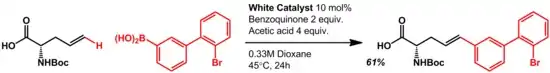 Oxidative Heck Reaction Scheme