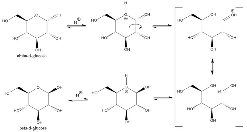 Widely proposed arrow-pushing mechanism for acid-catalyzed dynamic equilibrium between the α- and β- anomers of D-glucopyranose