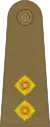 Lieutenant