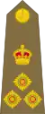 Brigadier