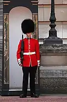 The iconic bearskins of the Queen's Guard at Buckingham Palace are made from the fur of American black bears.