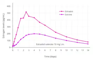 Estrogen levels after a single intramuscular injection of 10 mg estradiol valerate in oil in 24 postmenopausal women. Determinations were made for both Progynon Depot 10 and Estradiol Depot 10, for a total of 48 measurements per point. Assays were performed using GC/MS-NCI/SIM. Source was Schug et al. (2012).