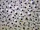 Frogspawn
