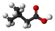 Ball-and-stick model of 3-methylbutanoic acid