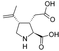 Stereo, skeletal formula of kainic acid