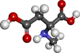 Ball and stick model of N-methyl-D-aspartic acid