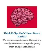 Nicotine and the human brain.