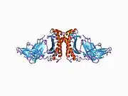 1a6z: HFE (HUMAN) HEMOCHROMATOSIS PROTEIN