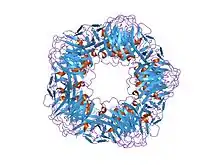 1lj7: Crystal structure of calcium-depleted human C-reactive protein from perfectly twinned data