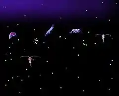 Six relatively large variously shaped organisms with dozens of small light-colored dots all against a dark background. Some of the organisms have antennae that are longer than their bodies.