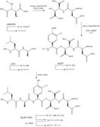 3 - Synthesis of Depsipeptide subunit