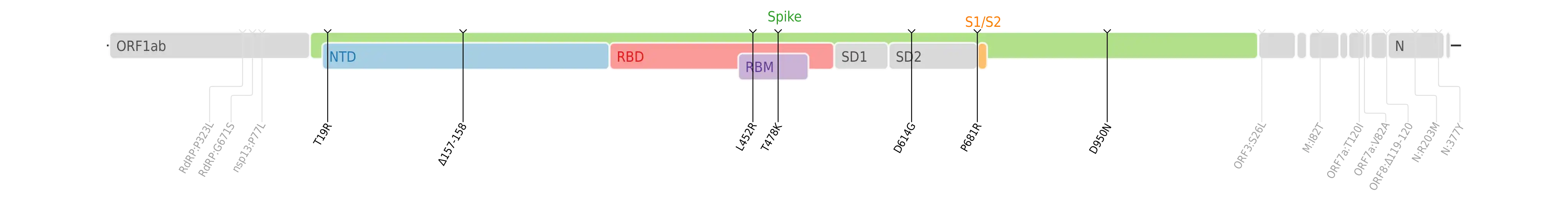 Amino acid mutations of SARS-CoV-2 Delta variant plotted on a genome map of SARS-CoV-2 with a focus on Spike.