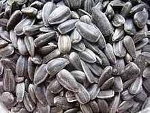 a pile of sunflower seeds