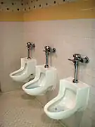 Unisex urinals which can be used by men or women