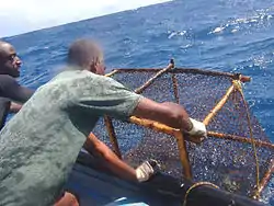 Now cleared of its catch the pot is sent down to "work" again.