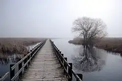 A bridge over a lake