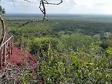 Endless Africa. Arabuko Sokoke Forest - panoramio.jpg