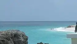 Horses enjoy a cooling swim inside the reef on a calm August day viewed  from Bel Air.