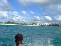 "Boo" studies Silver Rock Beach from the Reef.