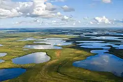 A marsh with a blue sky
